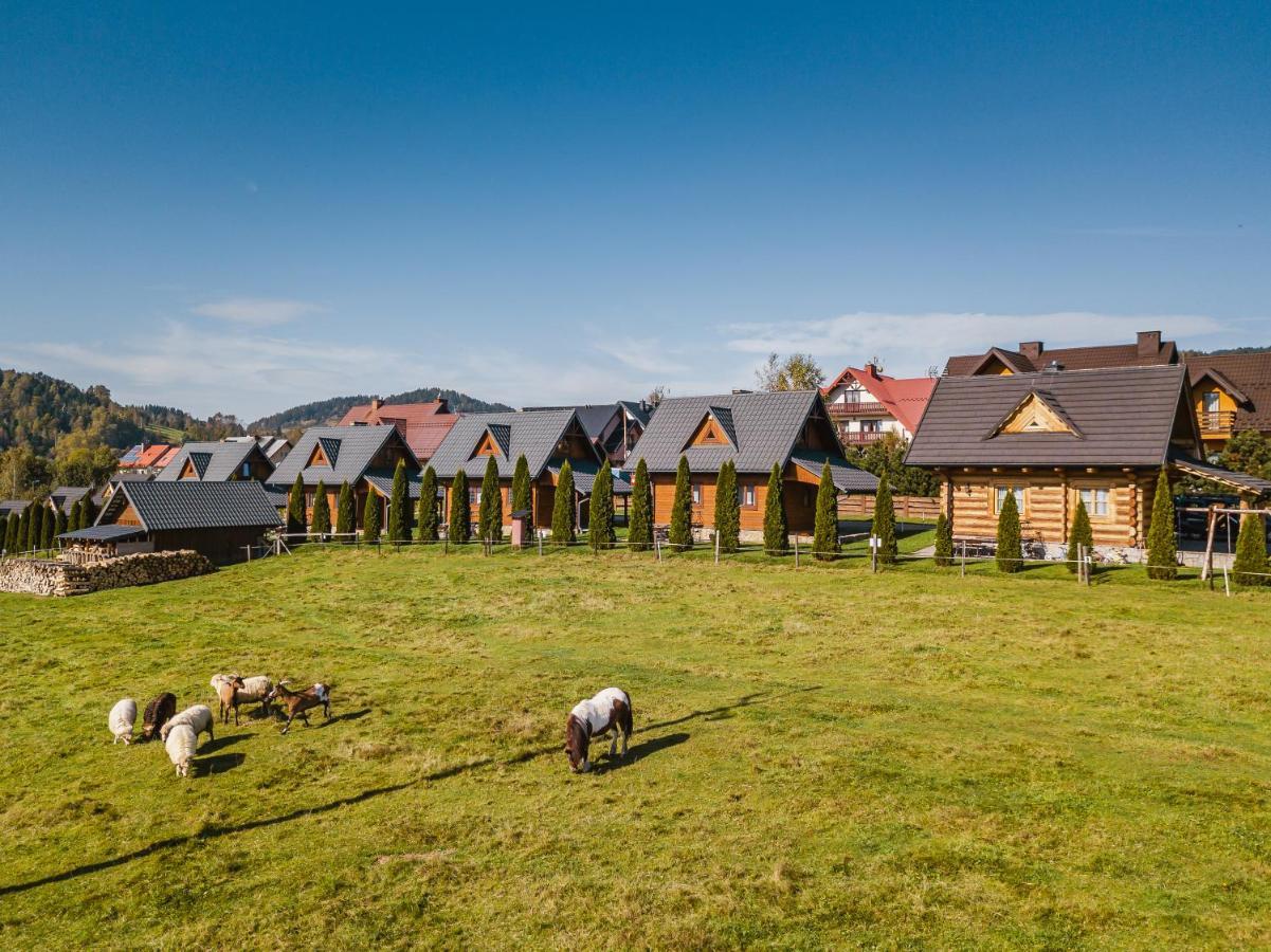 Domki U Adasia Krosnica (Lesser Poland) Exterior foto